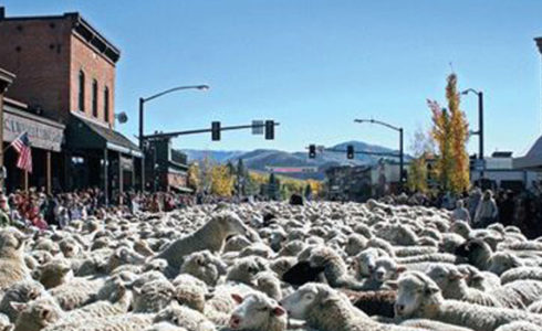 The Annual Trailing of the Sheep Festival