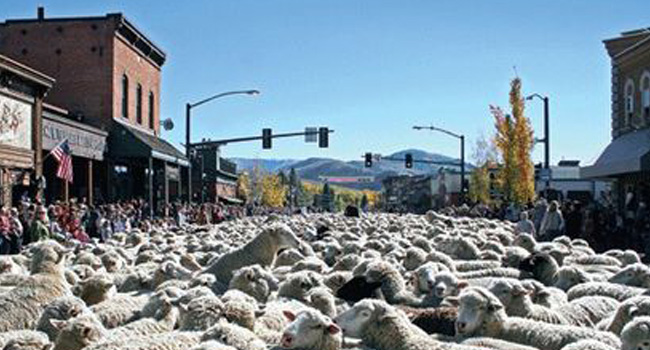 The Annual Trailing of the Sheep Festival
