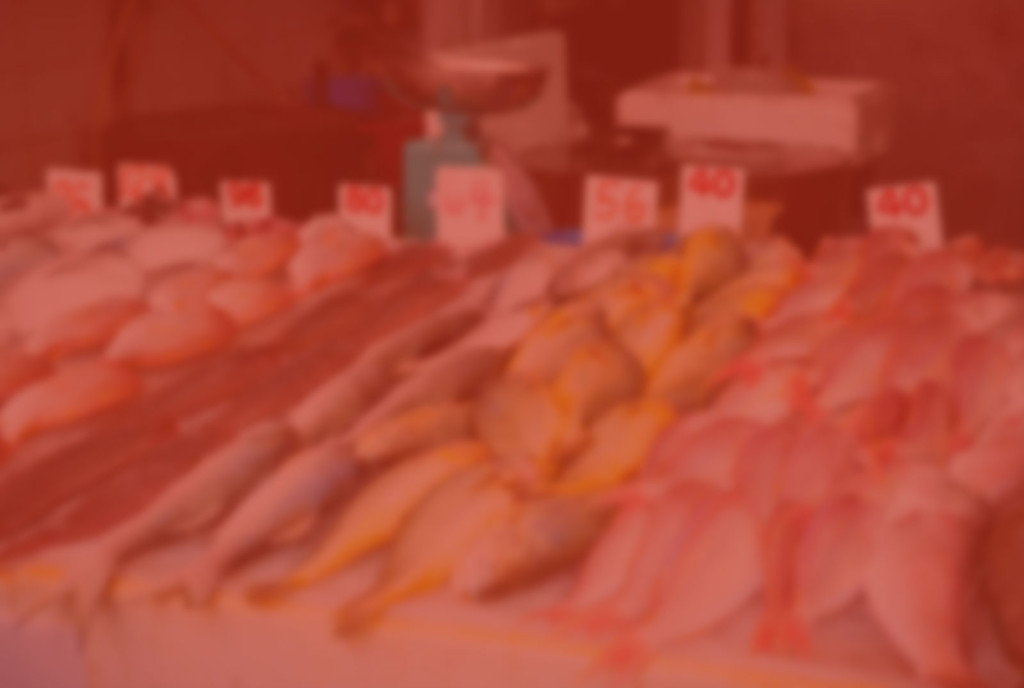 Chandlers Fresh Fish Market Chandlers