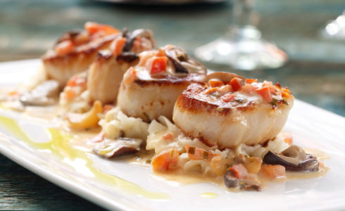 Chandlers Seafood, Fresh Scallops
