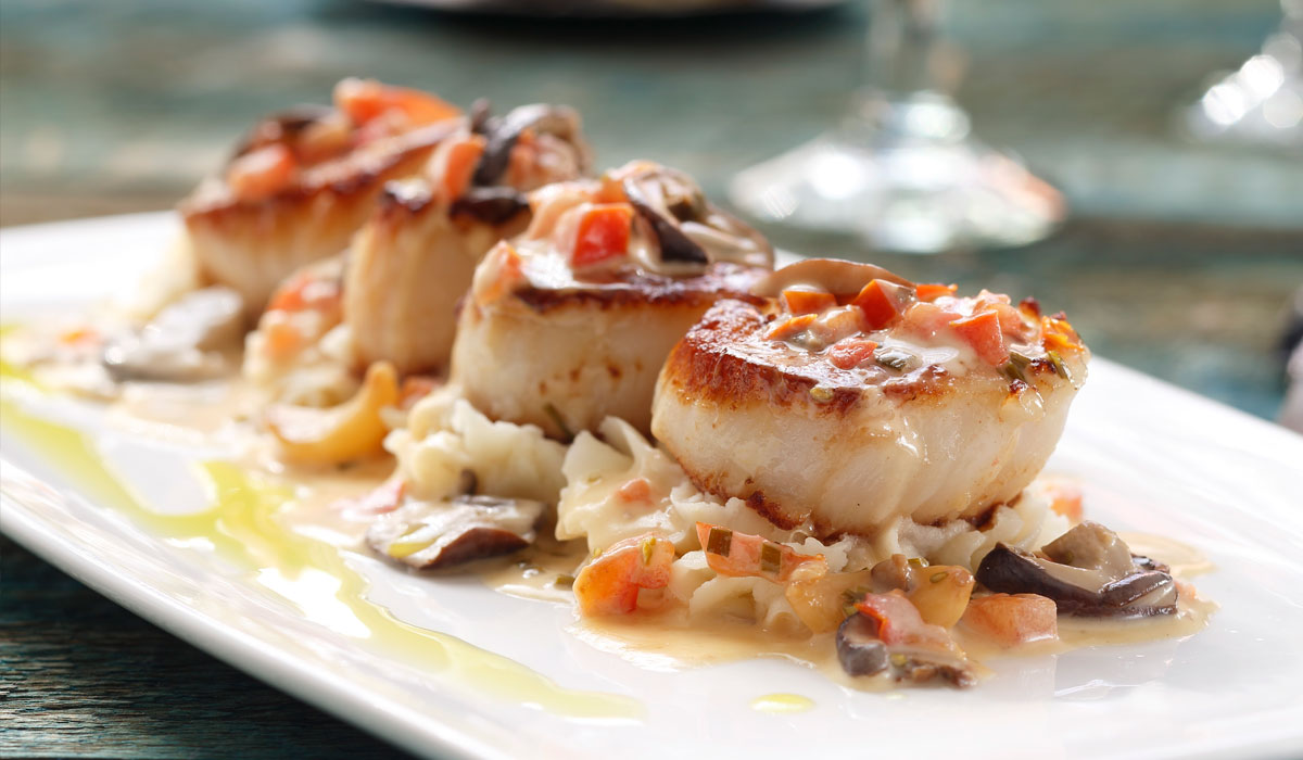 Chandlers Seafood, Fresh Scallops