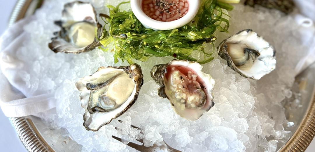 Pacific Oysters on the Half Shell