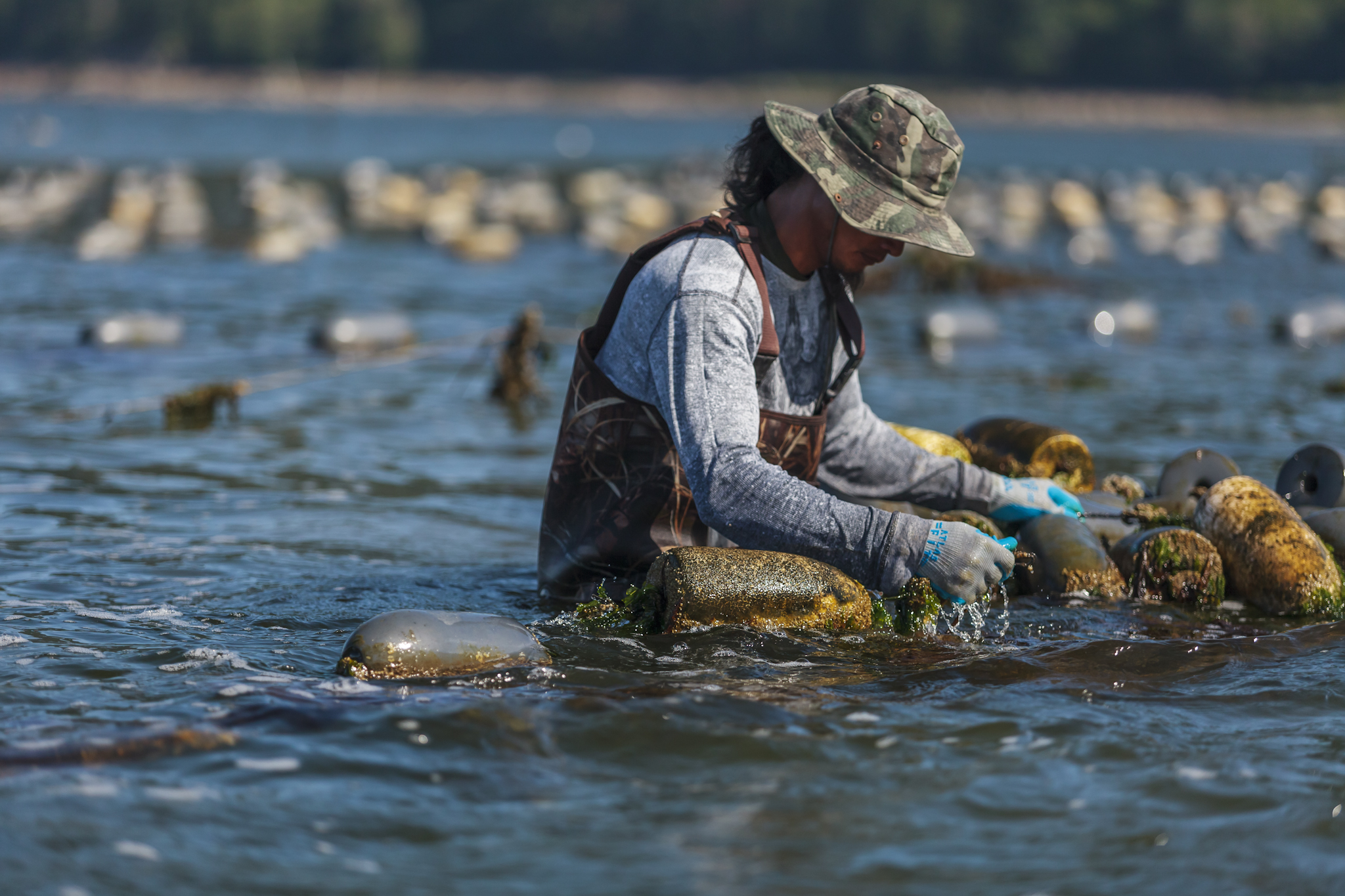 Where to Eat Oysters in Boise: Chandlers Brings the Freshest Shellfish from Taylor Shellfish Farms